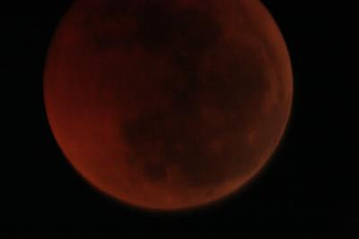 img_8311.jpg
